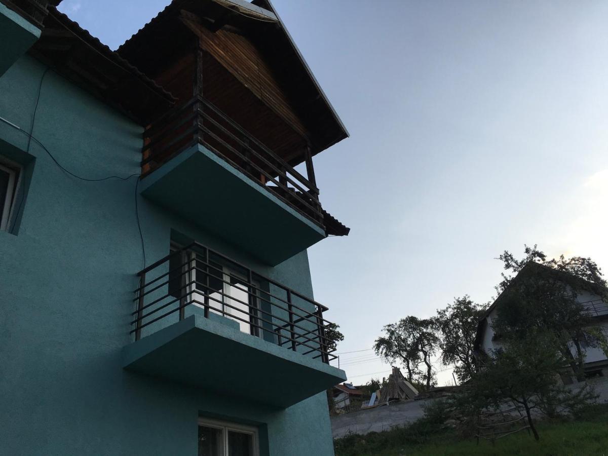 Casa Pelerinului Apartment Capatineni-Paminteni Exterior photo